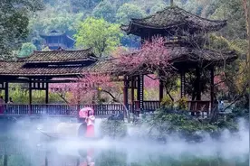 耗资56亿景区，不仅赔钱还面临倒闭，游客却表示不值得同情图片