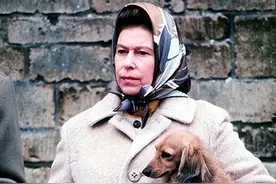 英国女王的爱犬：柯基入镜，伊丽莎白女王暖心回应图片