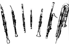 「乐器大家庭」之西洋木管乐器(一)概述图片