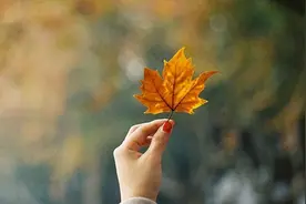 人到中年，这四种礼随了也白随，毫无意义！图片