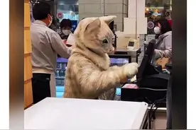 神回复：还发语音？她都是在我旁边哄着我睡的。图片