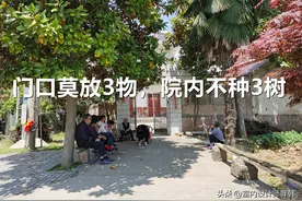俗话说：“门口莫放3物，院内不种3树”，3物和3树到底是指什么？图片