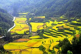 乡村往事一一说说过去农村的娃娃结拜图片