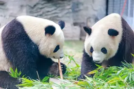 七十个常见公共场所英语单词图片