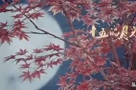 青年歌唱家伊丽媛元宵节献礼作品《十五的月光》MV今日央视首发上线图片