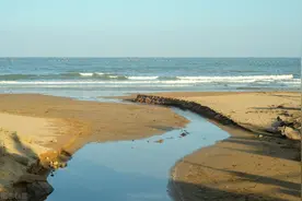 又值离别季，送给毕业的莘莘学子「诗歌」图片