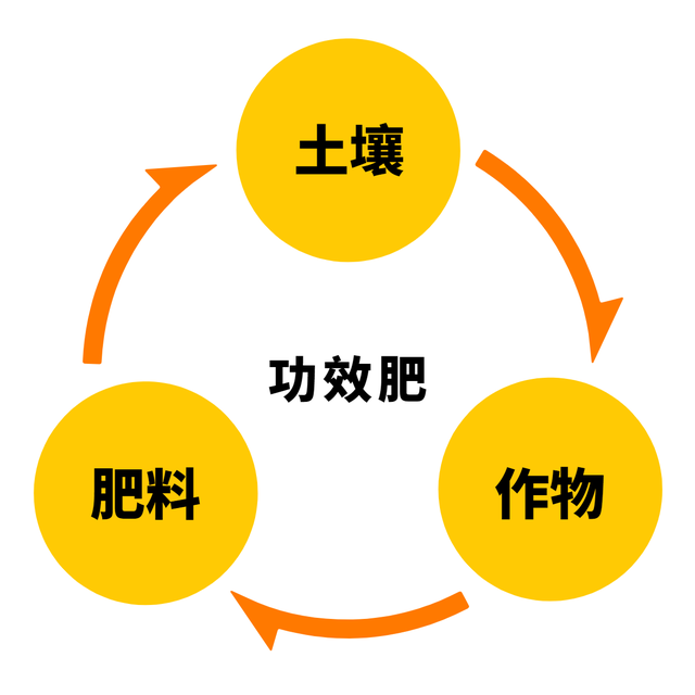 水溶肥用它效果更好，功效肥基地大户案例