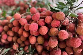 1049元/斤！天价荔枝什么来头？图片