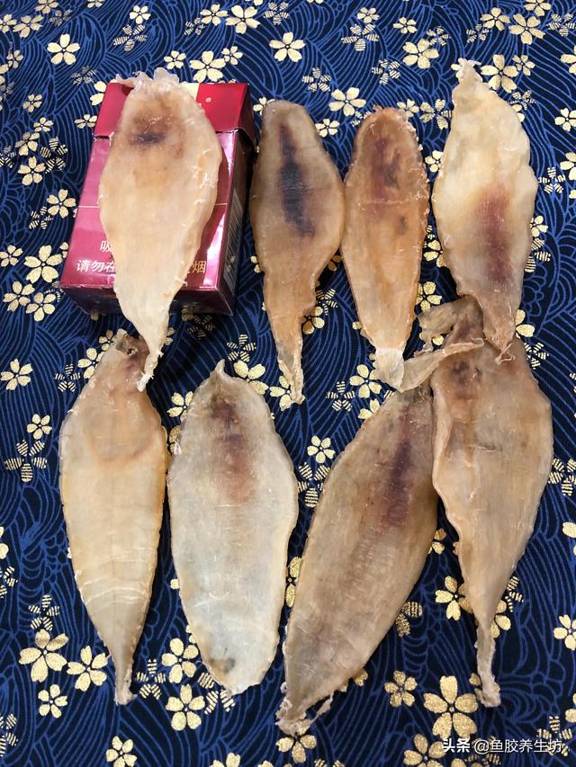 大口鱼胶的功效与作用 大口鱼胶的功效与作用及禁忌