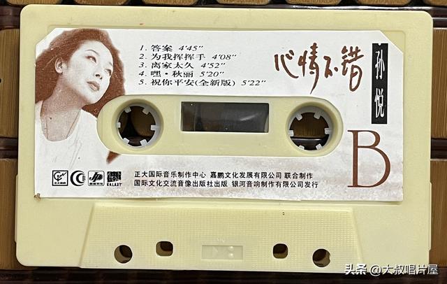 用眼睛“听”音乐之1994年你最喜欢的流行歌-唱片分享第93期