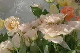 爱一个人是藏不住的，尤其是这4点，看看有没有你？图片