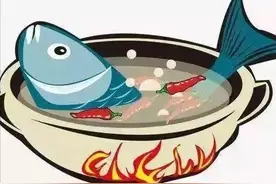 “四大家鱼”中为什么没有鲤鱼？图片