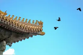 故宫屋顶600年没鸟屎！这设计绝了，专家：佩服老祖宗的智慧图片