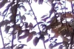 逆风翻盘，掌控命运的大女主图片