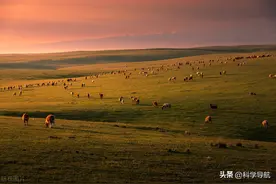 在草原没有厕所，你知道当地人怎么上厕所吗？今天带你了解图片