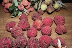 荔枝壳煮水喝真棒，老一辈的方法真棒，省钱实用图片