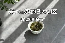 白茶性寒凉，与冬天不搭？关于白茶的3大误区，早知道早受益图片