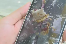 面包里吃出正在蠕动的白虫？男子因举证不到位竟遭遇维权难图片