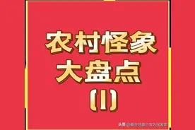 农村“怪象”大盘点(1)图片