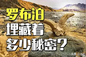 罗布泊究竟有多恐怖？号称“死亡之海”，埋藏着史上最诡异的悬案图片