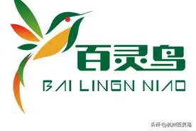 杭州灭鼠公司怎样灭鼠？学会这些捕鼠器就再也不怕老鼠困扰了图片