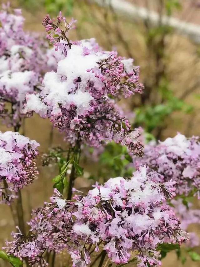 6���ʺ�С����ҵ������