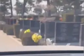 世上真有鬼？空无一人的陵园，在汽车雷达上显示有大量跟车人影图片