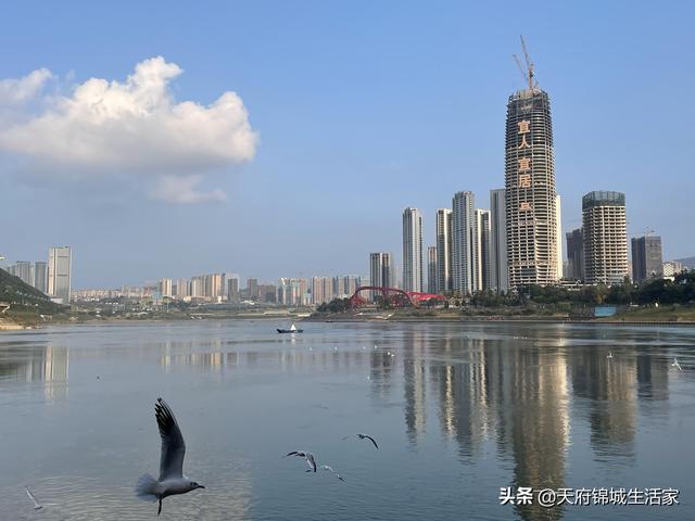 2021四川各城市地区最强企业是谁？你的城市有几家？用数据说话