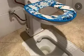 新式“折叠马桶”一出，整洁美观不占地，太机智了图片