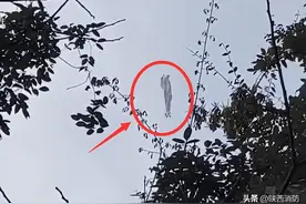热气球空中突发爆炸！致1死3伤……图片