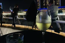 新加坡人力资源干货——工作签证图片