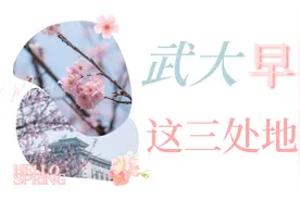 武大、江滩樱花已开！（附预约方式）图片