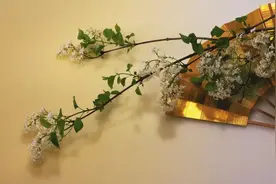 讨厌一个人，最正确的处理方式图片