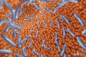 人为何不能永生？因为基因不答应，我们只是它的工具人图片