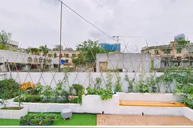 DIY改造楼顶花园，实现养花种菜喝茶晒太阳自由，动手装一个吧图片