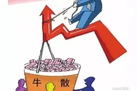 中国最牛牛散夫妻夏重阳和张素芬重仓股票（一）图片