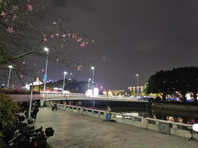 花城看花看灯饰