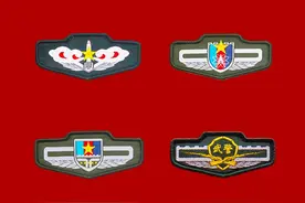 亮相！21式作业服胸标臂章来了！你知道几个？图片