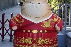 故宫“御猫”为首！北京景区里的猫实在太可爱了！图片