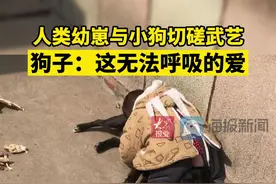 人类幼崽与小狗切磋武艺 狗子：这无法呼吸的爱图片