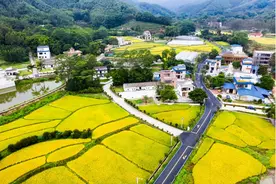 惠州开展破解乡村振兴三大瓶颈深调研图片