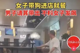 你算老几？西安女子带狗进餐厅怒砸男子，后续处理结果亮了图片