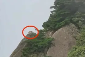 “彪”还是华南虎？安徽黄山游客拍到神秘虎形生物！真相是什么？图片