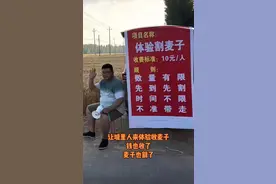 河南大叔5亩麦田竖牌子割麦子，体验丰收的喜悦1人10元，好项目图片