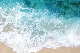 海洋动物也得喝水，但海水很咸，不能饮用，那它们怎么喝到水？图片