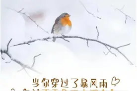 人生有兩大悲劇图片