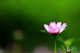 人到中年，以下六种人来串门，最好是闭门谢客图片
