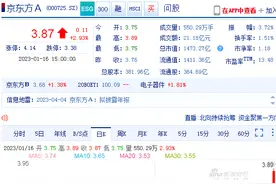 京东方A,今天放量大涨，静待花开终有时图片