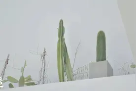 2022年度热词Top10，你知道几个？图片