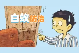 【白蚁防治】白蚁又开始繁殖了？应该这样做！图片